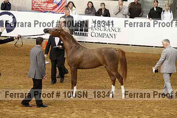 Proof 10usn_18341