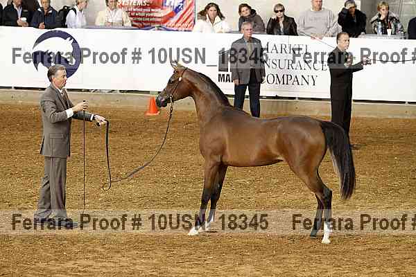 Proof 10usn_18345