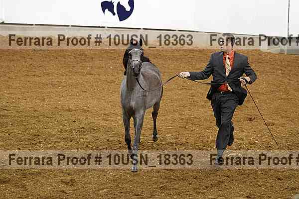 Proof 10usn_18363