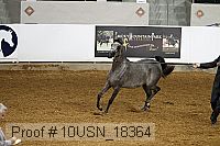 10usn_18364 proof