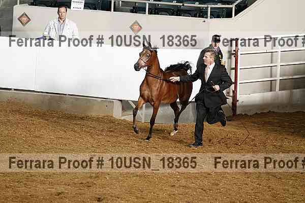 Proof 10usn_18365
