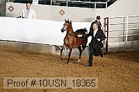 10usn_18365 proof