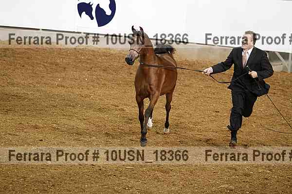Proof 10usn_18366