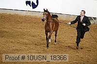 10usn_18366 proof