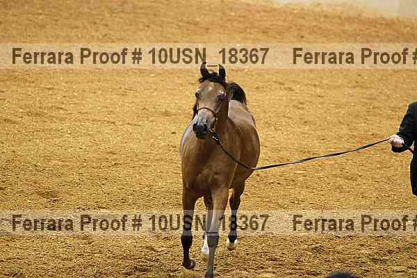 Proof 10usn_18367