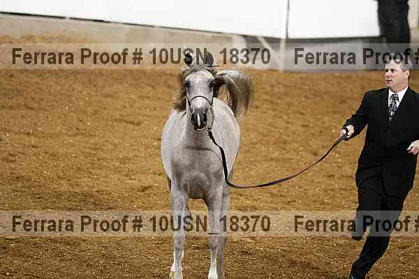 Proof 10usn_18370