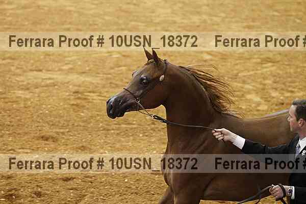 Proof 10usn_18372