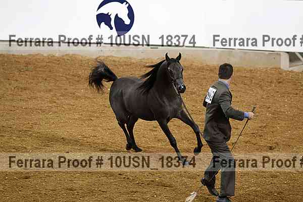Proof 10usn_18374