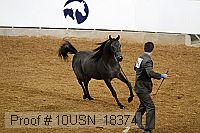 10usn_18374 proof