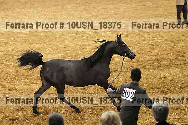 Proof 10usn_18375