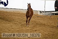 10usn_18376 proof