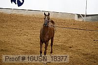 10usn_18377 proof