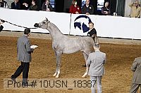10usn_18387 proof