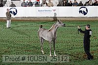 10usn_25112 proof