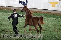 10usn_25117 proof
