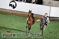 10usn_25120 proof