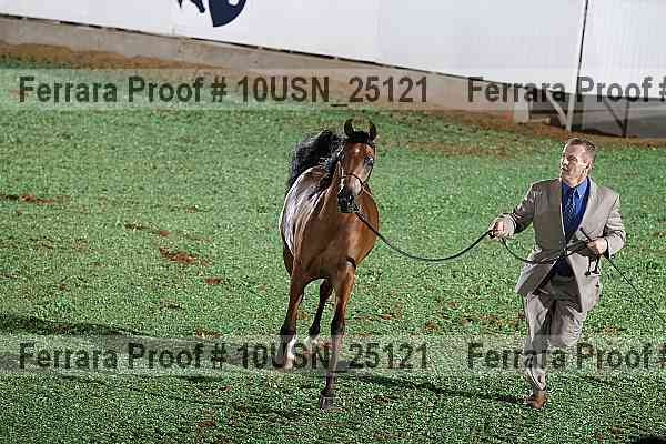 Proof 10usn_25121