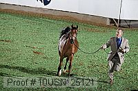 10usn_25121 proof