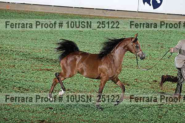 Proof 10usn_25122
