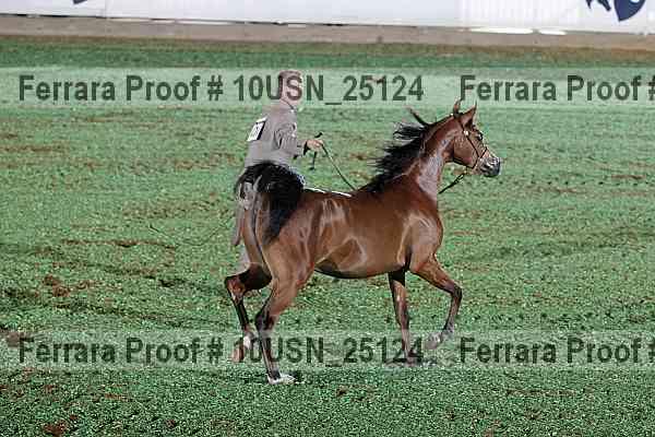 Proof 10usn_25124