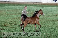 10usn_25124 proof