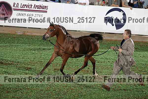 Proof 10usn_25127