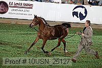 10usn_25127 proof