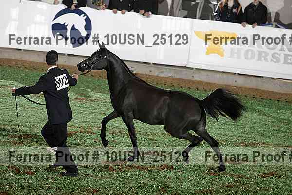 Proof 10usn_25129