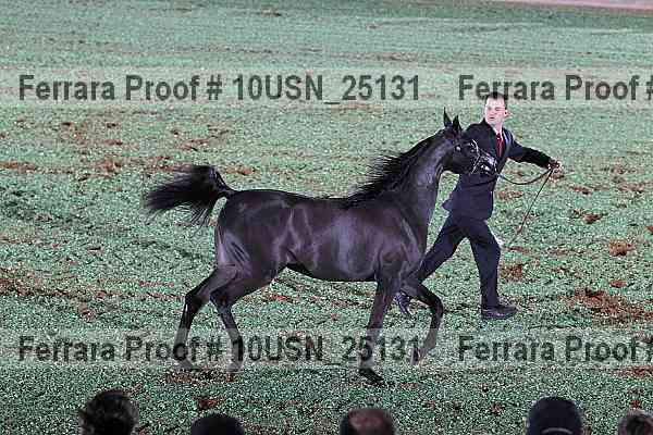 Proof 10usn_25131