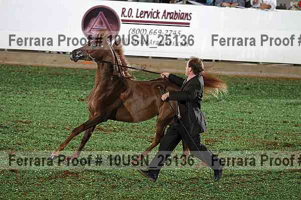 Proof 10usn_25136
