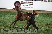 10usn_25136 proof