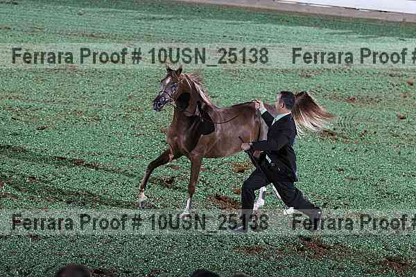 Proof 10usn_25138