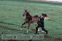 10usn_25138 proof