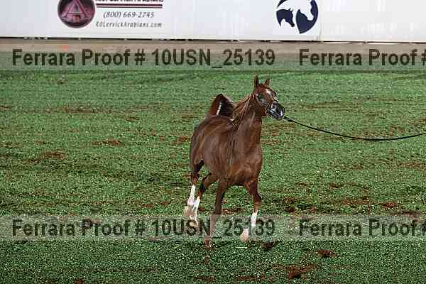 Proof 10usn_25139