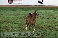 10usn_25139 proof