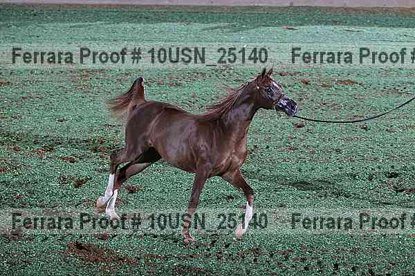 Proof 10usn_25140