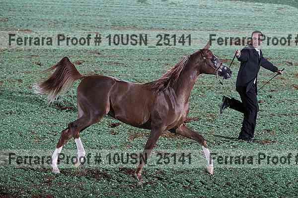 Proof 10usn_25141