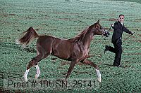 10usn_25141 proof