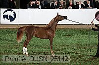 10usn_25142 proof