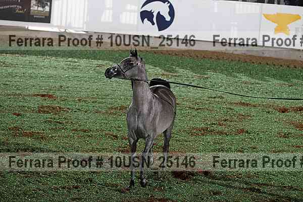 Proof 10usn_25146