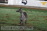 10usn_25146 proof