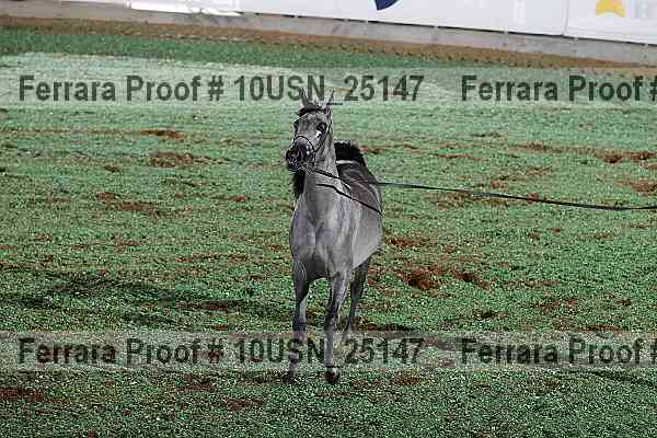 Proof 10usn_25147