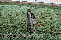 10usn_25147 proof