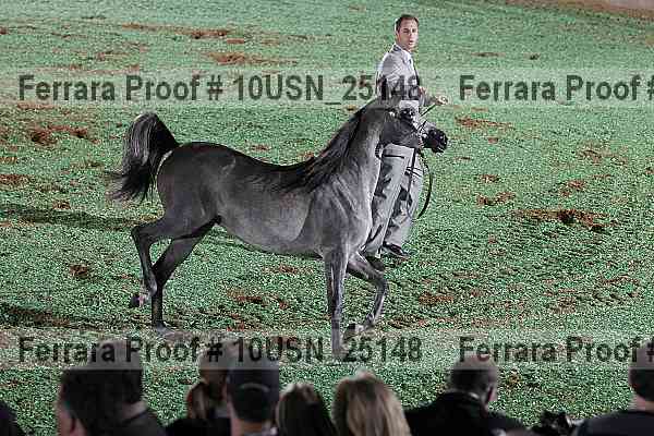 Proof 10usn_25148