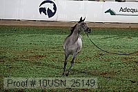 10usn_25149 proof