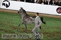 10usn_25152 proof