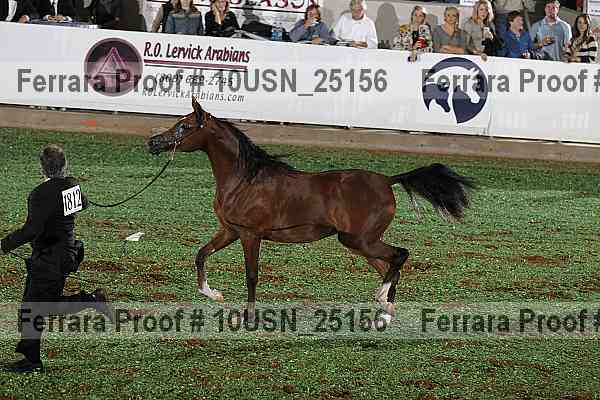 Proof 10usn_25156