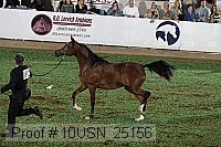 10usn_25156 proof