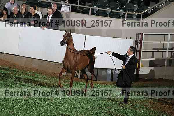 Proof 10usn_25157