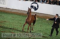 10usn_25158 proof